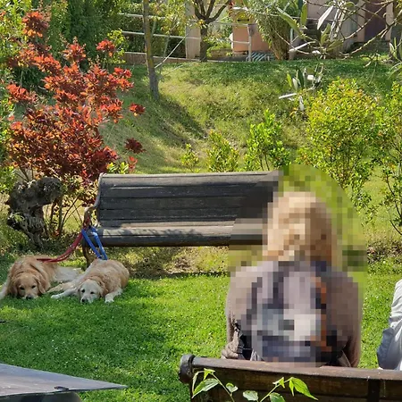 Stunning In Apartamento